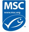 LOGO MSC