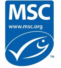 LOGO MSC LOGO MSC